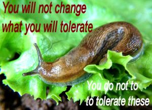 What will you tolerate?