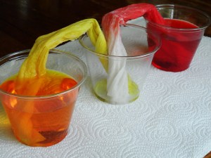 color-transfer-15-minutes