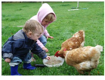 chicken and toby time _350