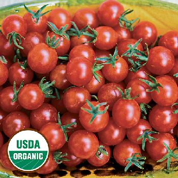 sweet-pea-currant-tomato-organic