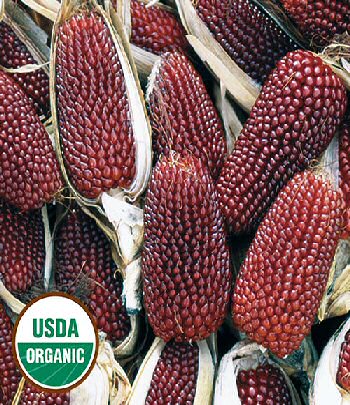 two-inch-strawberry-popcorn-corn-organic