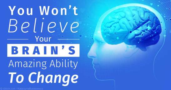 brain-ability-to-change-fb