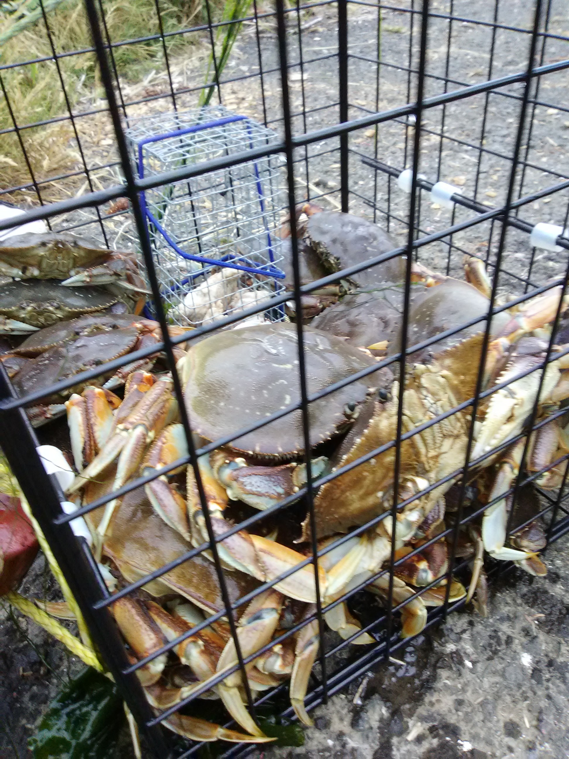 Rent a Boat and Cats (Catamarans) for up to 8 people for Fishing