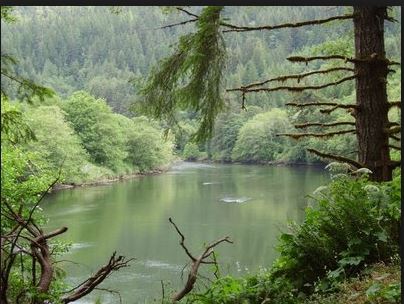 siletz river