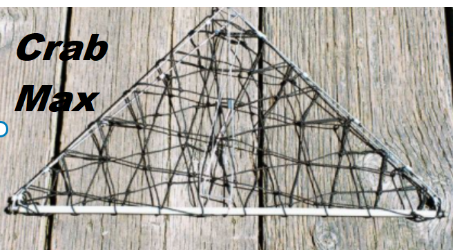 crab-max1